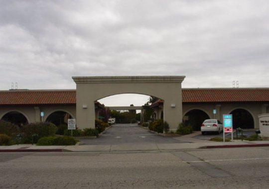 Santa Cruz Biotechnology