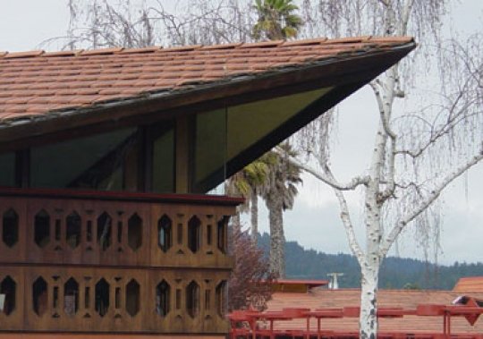Santa Cruz Professional Plaza