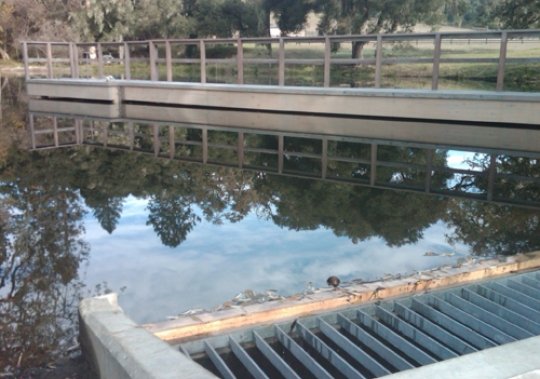 Felton Pond Restoration