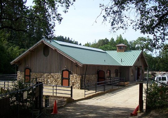 Lichen Oaks Ranch