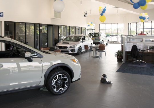 Santa Cruz Subaru Renovations