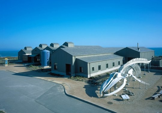 Center for Ocean Health (Long Marine Laboratory)