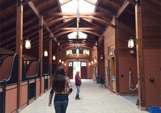 Lichen Oaks Ranch