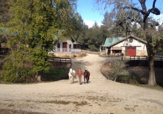Lichen Oaks Ranch