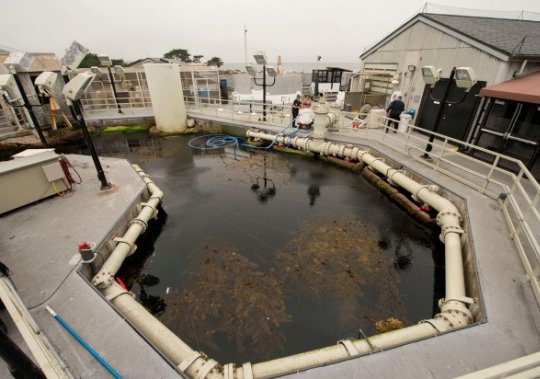 Monterey Bay Aquarium Water Science Lab